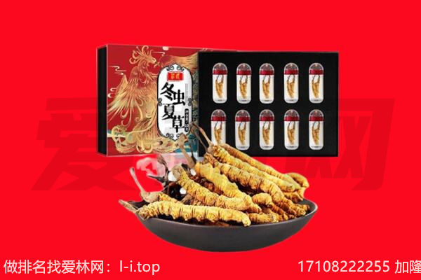 望都县回收虫草.jpg